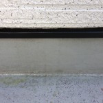 IMG_7082