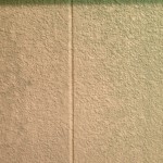 S__2015253