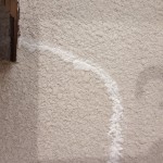 S__5595304