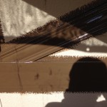 IMG_9501