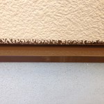 IMG_9509