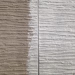 S__7815255