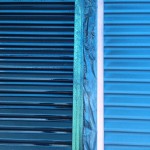 S__50675719