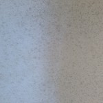 S__50733068