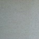 S__50733069