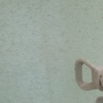 S__50733070