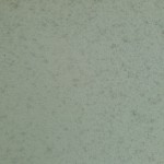S__50733071