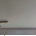 S__50733073