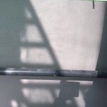 S__50733079