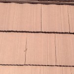 S__10280979