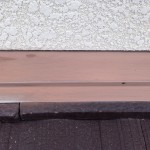 S__10280995