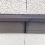 S__10281009