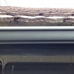 S__10281027