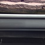 S__10281029