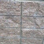 S__10281080