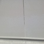 S__10354779