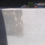 S__50782211