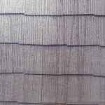 S__50782217