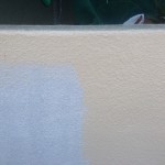 S__50782218