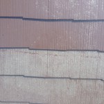S__50782222