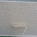 S__50782224