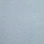 S__5095479