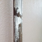 S__5095494