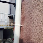 S__5095507