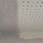S__58482692