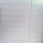 S__5824528