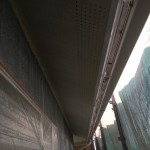S__6250503