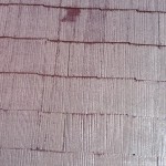S__6209584