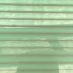 S__7372806