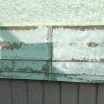S__7372815