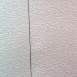S__8003590