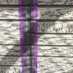 S__9912329