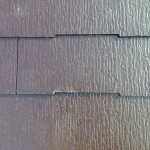 S__7594005