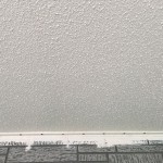 S__9052166