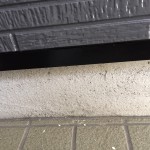 S__9764880