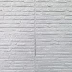 S__21102596