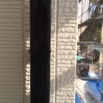 s__11804684