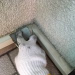 s__19546157