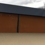 s__19947545