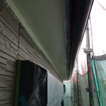 s__28172291