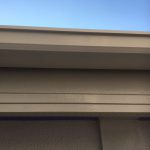 s__4218900