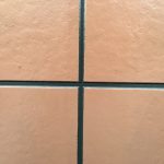 s__15196169