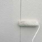 s__20447238