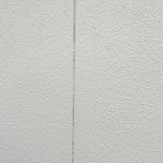 s__20447239