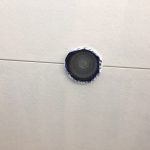 s__4358155