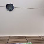 s__4358161